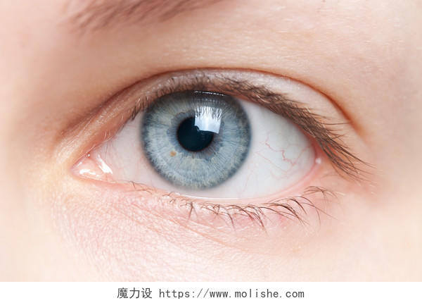 人类蓝眼睛的特写眼部整形